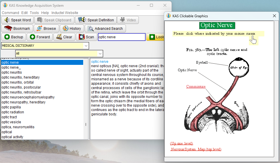 Optic Nerve definition and diagram